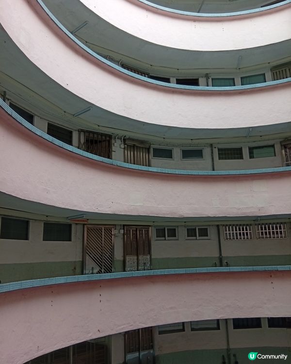 📸 大坑勵德邨打卡熱點！圓柱形公屋震撼視覺！