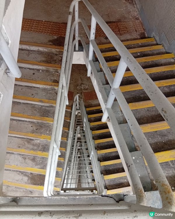 📸 大坑勵德邨打卡熱點！圓柱形公屋震撼視覺！