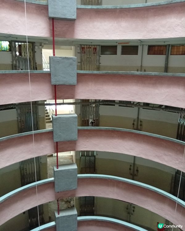 📸 大坑勵德邨打卡熱點！圓柱形公屋震撼視覺！