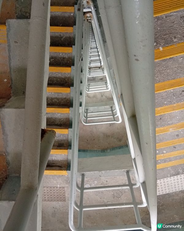 📸 大坑勵德邨打卡熱點！圓柱形公屋震撼視覺！