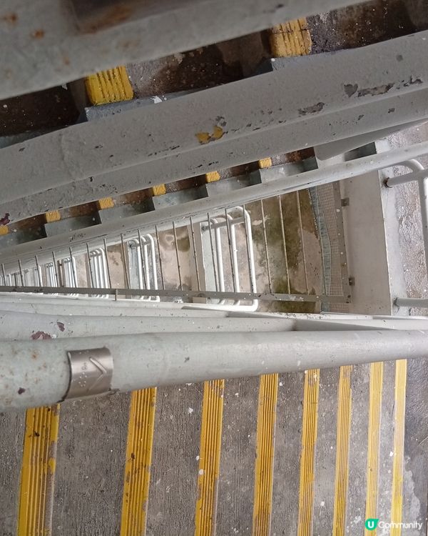 📸 大坑勵德邨打卡熱點！圓柱形公屋震撼視覺！