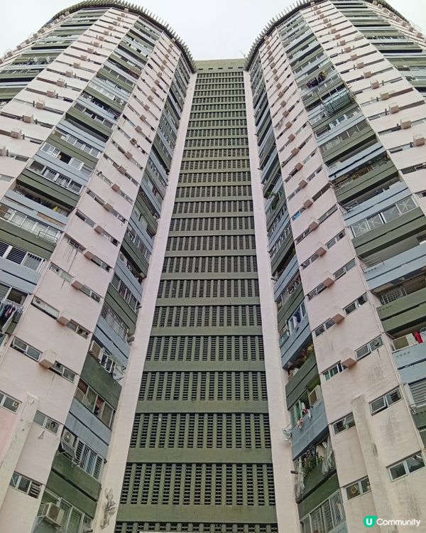 📸 大坑勵德邨打卡熱點！圓柱形公屋震撼視覺！