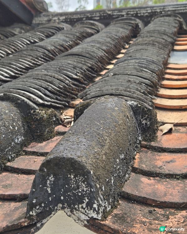 三棟屋博物館：了解客家文化及香港非物質文化遺產