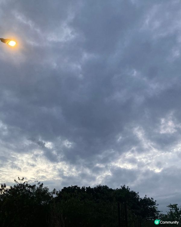 星期五夜晚嘆一芳🍹