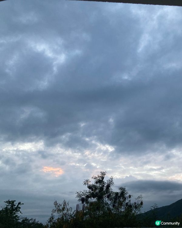 星期五夜晚嘆一芳🍹