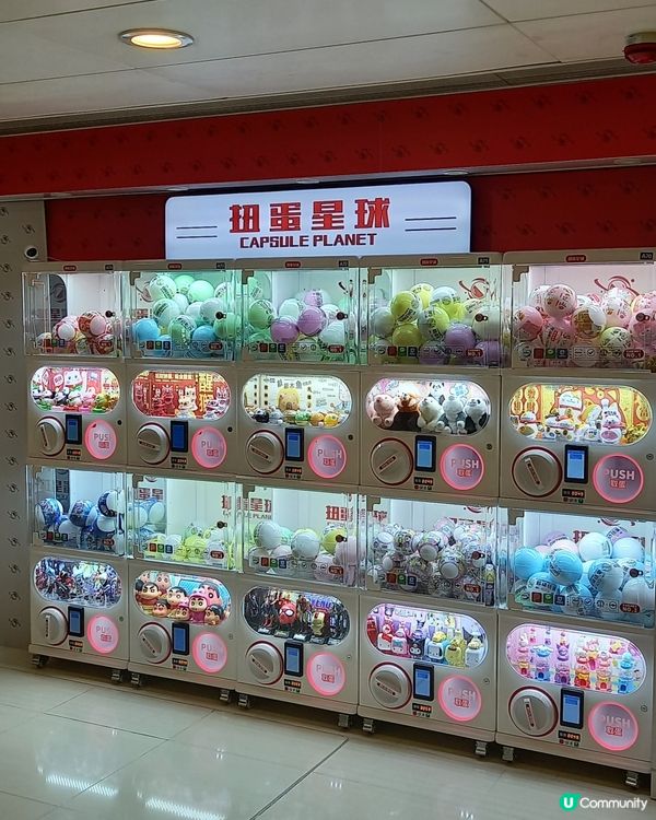 呢隻扭蛋猪做得很有誠意