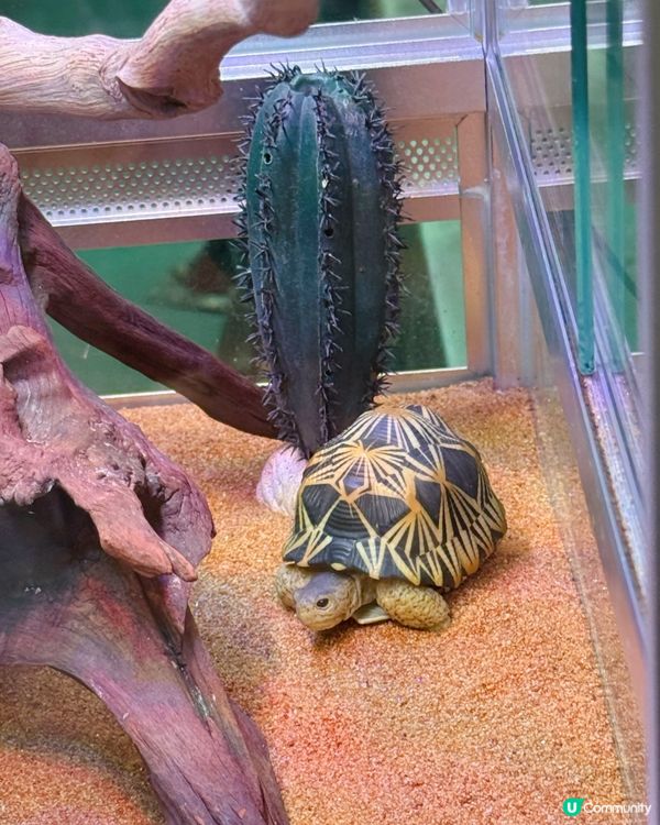 書展最後一日！快啲去掃貨啦！🥳📚