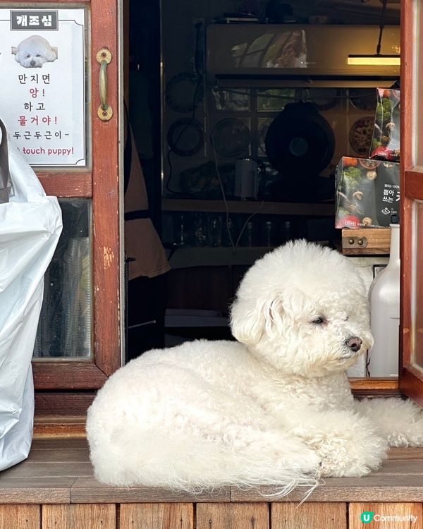 🇰🇷濟州島必去！💛無敵海景＋復古風裝修