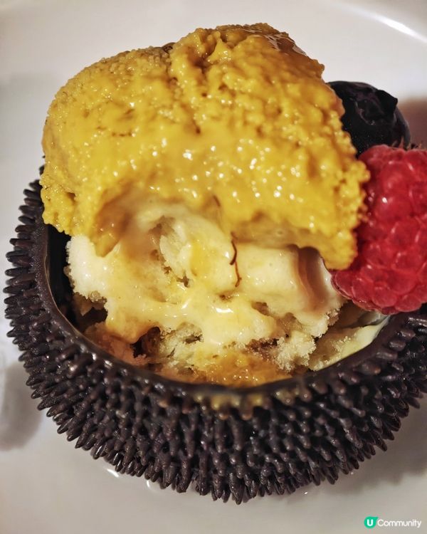 高CP💰精緻🇫🇷法式🍽️餐廳