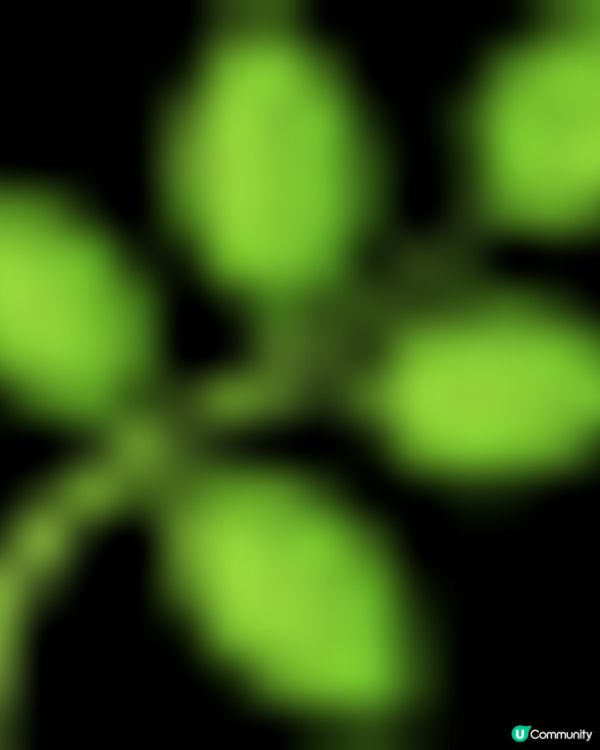 衝進福田區「深業上城」商場🏬解這人氣店🔥：ONIONIO