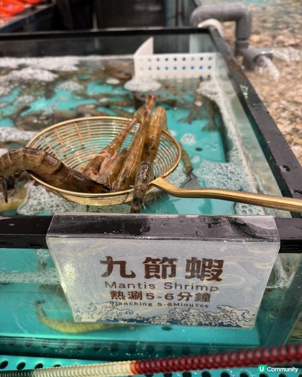 節奏緊湊的海鮮盛宴🦞🦀🦐🥘🍦