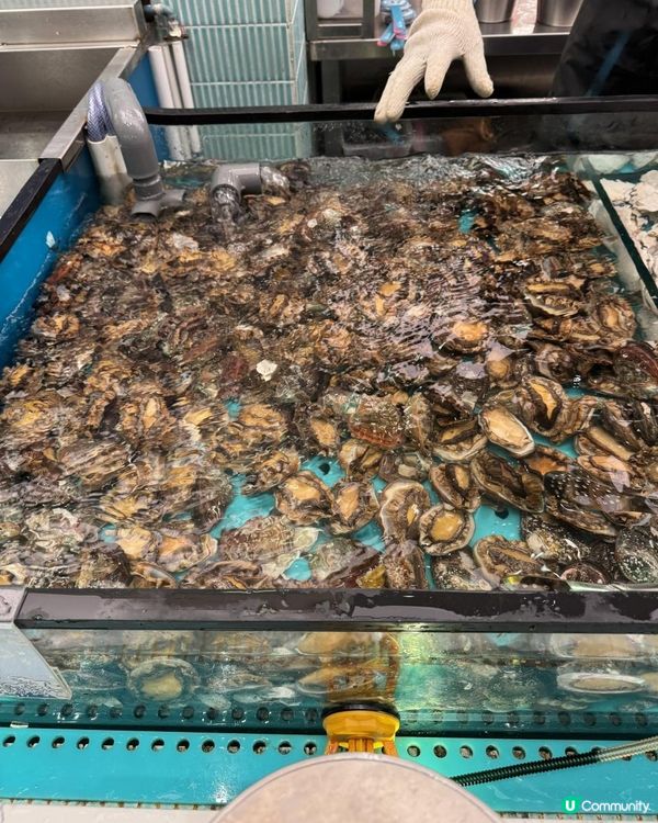 節奏緊湊的海鮮盛宴🦞🦀🦐🥘🍦