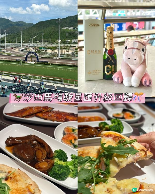 🐎沙田馬場駿星匯✨升級回歸