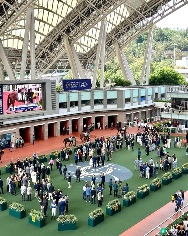 🐎沙田馬場駿星匯✨升級回歸