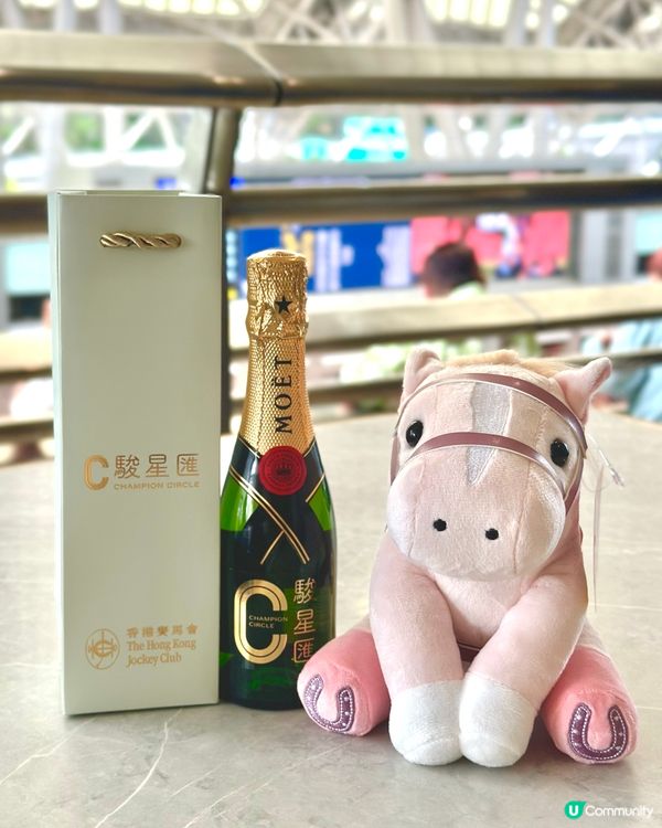 🐎沙田馬場駿星匯✨升級回歸