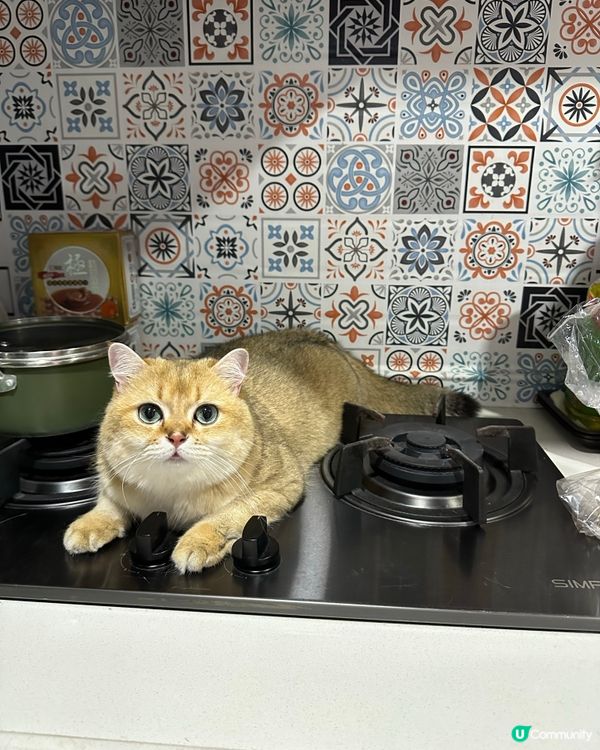 夏天消暑好地方😆