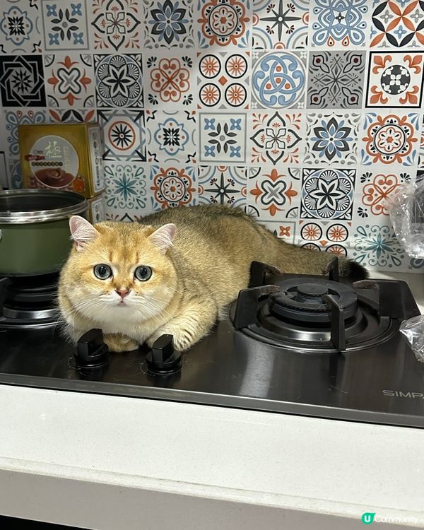 夏天消暑好地方😆