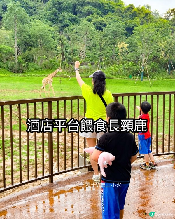 清遠長隆長頸鹿城堡酒店🦒🏰 真人實測！🤩