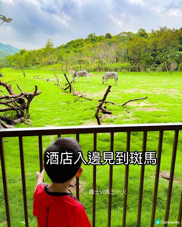 清遠長隆長頸鹿城堡酒店🦒🏰 真人實測！🤩