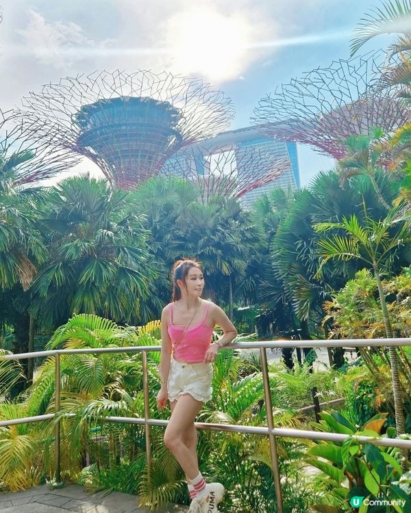 新加坡必去景點之一 Gardens by the Bay 