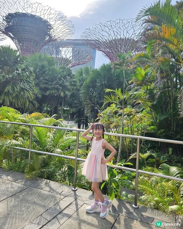 新加坡必去景點之一 Gardens by the Bay 