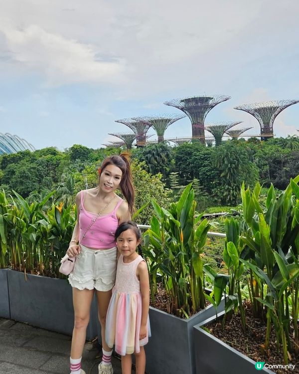 新加坡必去景點之一 Gardens by the Bay 