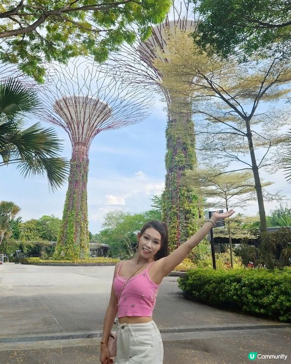 新加坡必去景點之一 Gardens by the Bay 