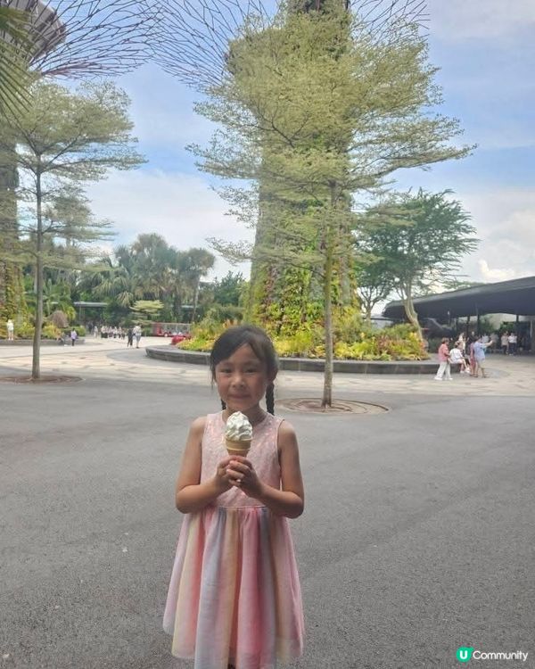 新加坡必去景點之一 Gardens by the Bay 