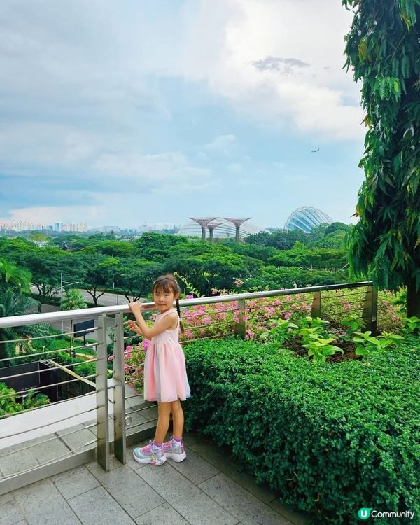 新加坡必去景點之一 Gardens by the Bay 