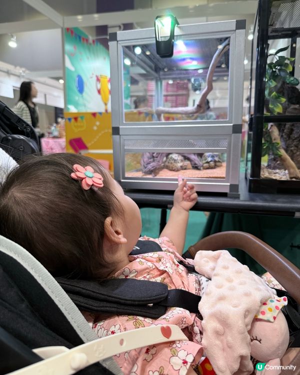 恩道教育著數大放送📚👶🏻