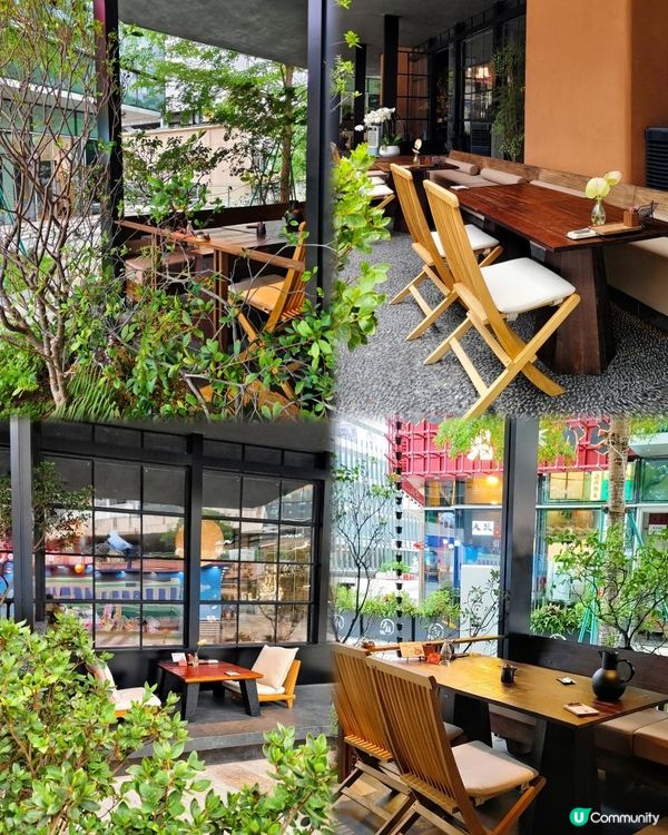 《鴿子與你共進日料時光》