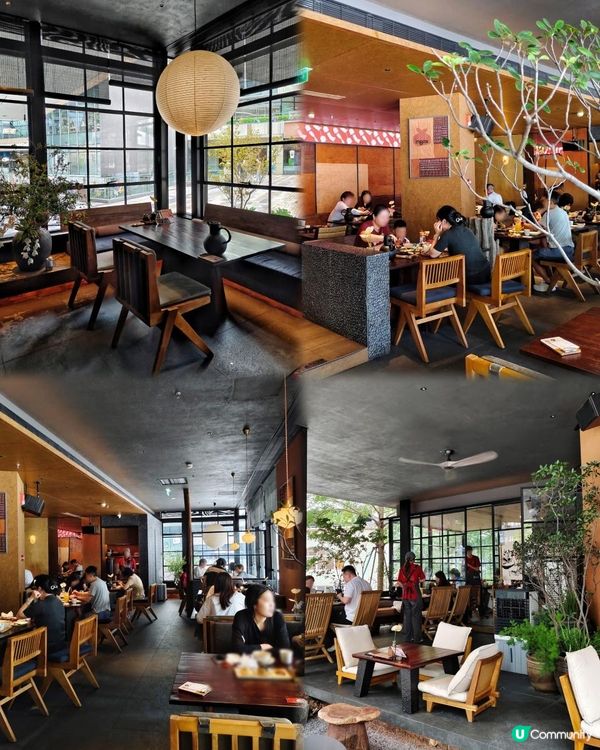 《鴿子與你共進日料時光》