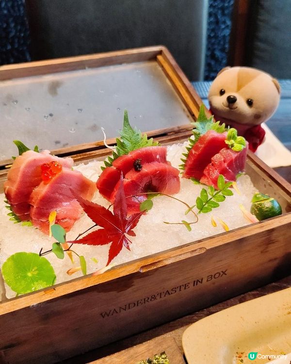 《鴿子與你共進日料時光》