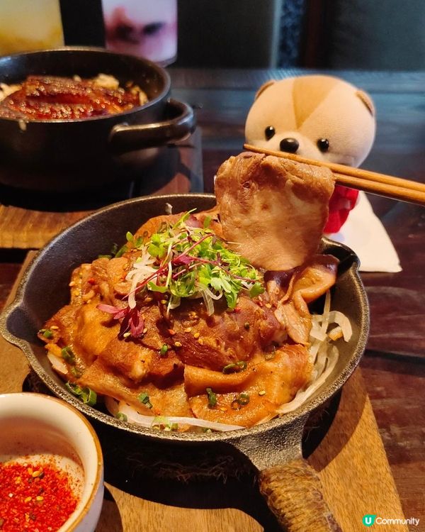 《鴿子與你共進日料時光》