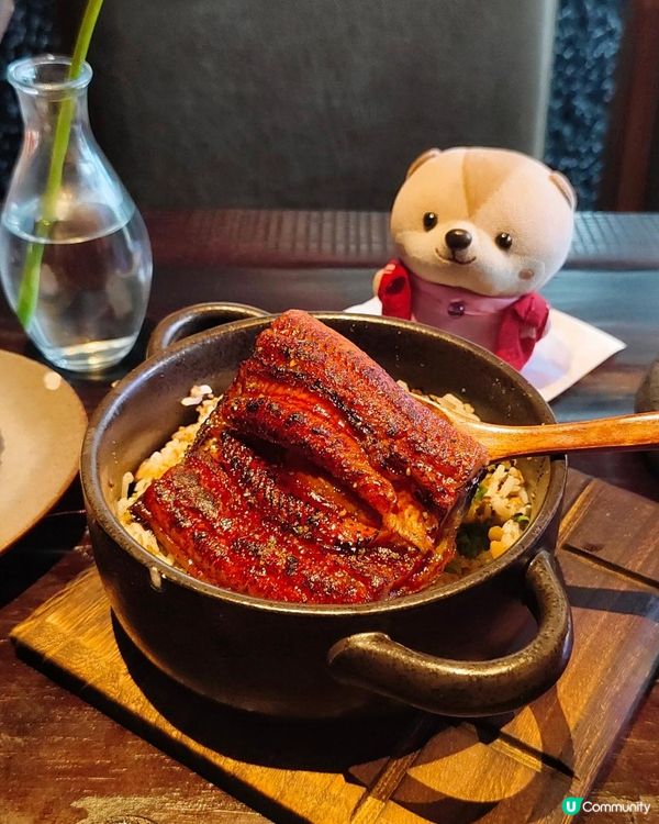 《鴿子與你共進日料時光》