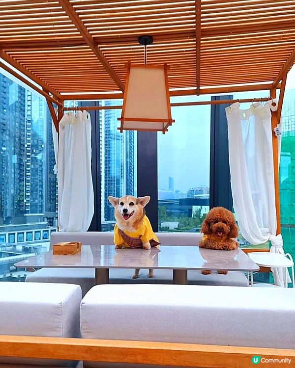 感受滿滿的異國風情