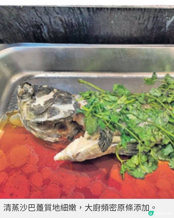 綠怡咖啡廳夏日自助餐 海洋狂想曲衝擊味蕾