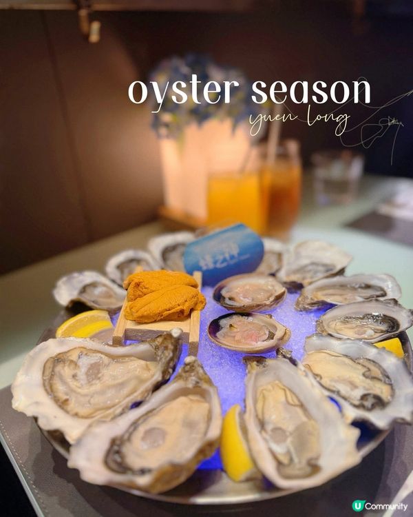 [卡米菲．生蠔] 元朗平食生蠔🦪$9起！