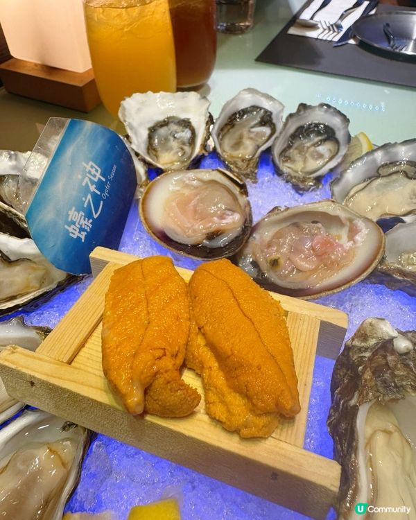 [卡米菲．生蠔] 元朗平食生蠔🦪$9起！