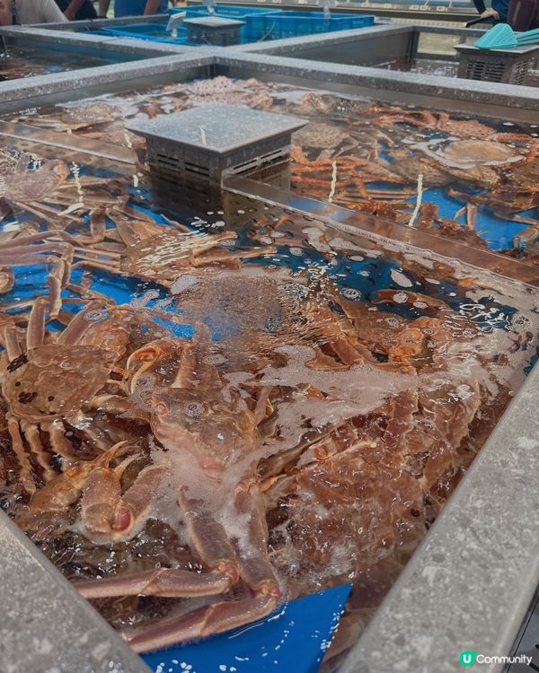 盒馬超市之旅 🛒  朋友大開眼界！🤩