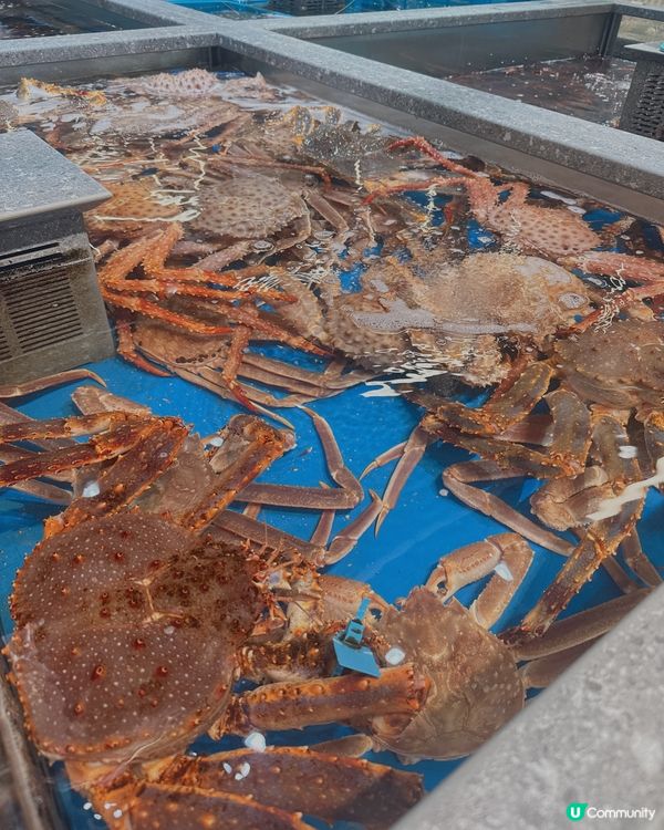 盒馬超市之旅 🛒  朋友大開眼界！🤩