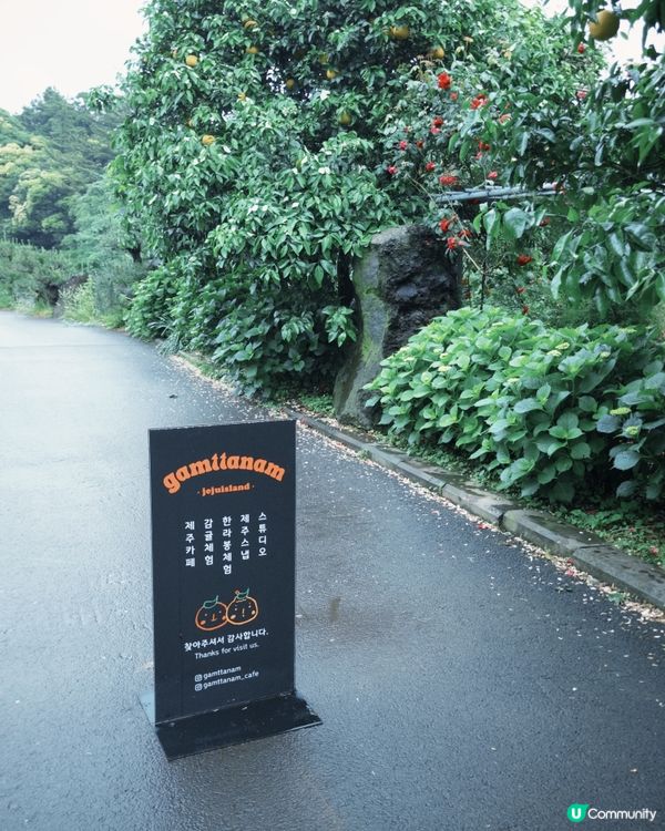 濟州柑🍊主題Cafe打卡📸️