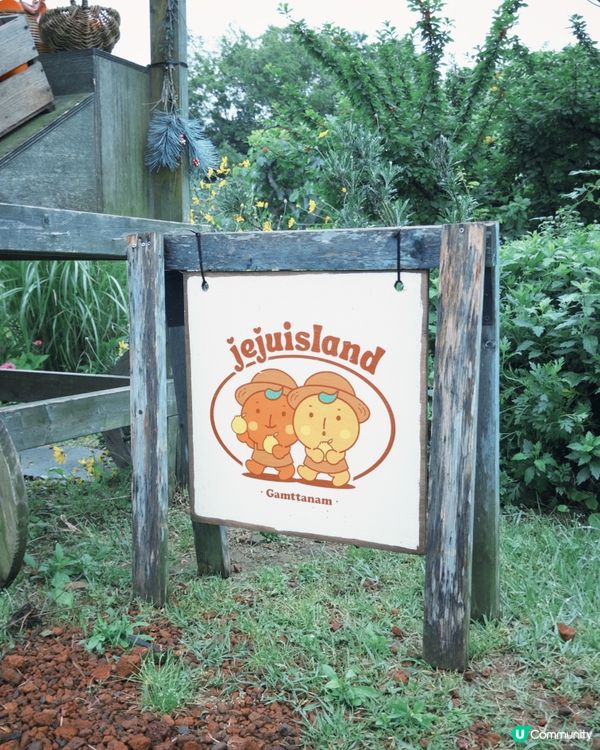 濟州柑🍊主題Cafe打卡📸️