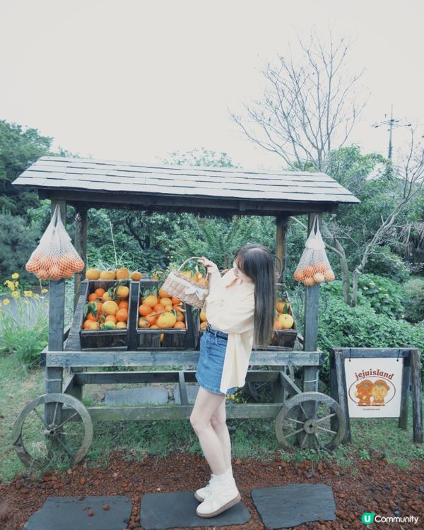 濟州柑🍊主題Cafe打卡📸️