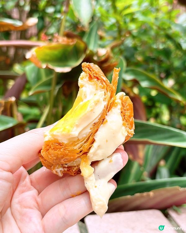 🎏加多娜芝士撻有驚喜‼️夠流心好香芝士味🤩