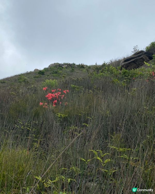 青山冒險記⛰️  挑戰三尖之一！