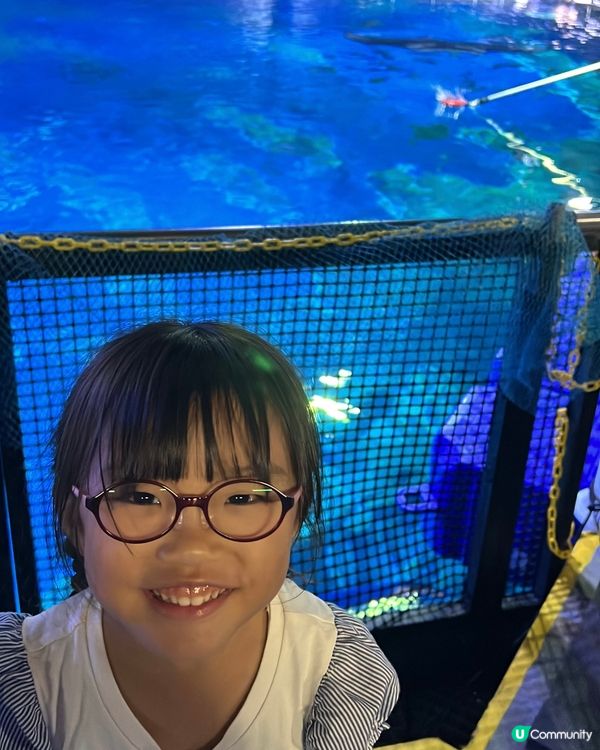 海洋公園夏日歷險，童趣探索！ 🐠☀️早鳥優惠88折！