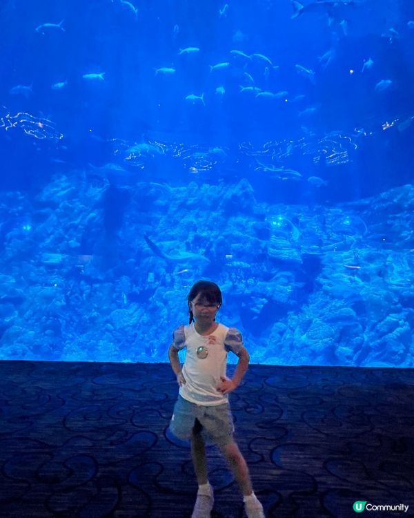 海洋公園夏日歷險，童趣探索！ 🐠☀️早鳥優惠88折！
