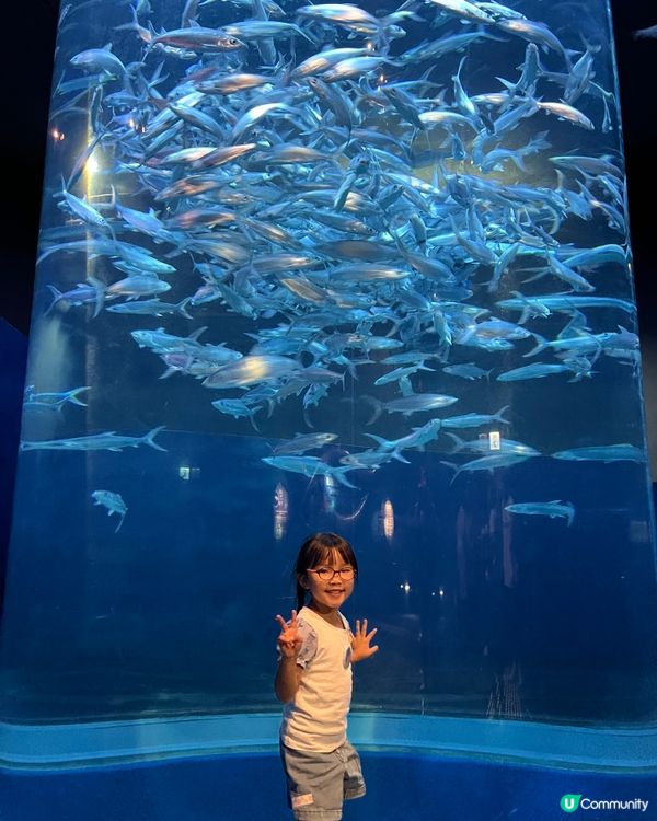 海洋公園夏日歷險，童趣探索！ 🐠☀️早鳥優惠88折！