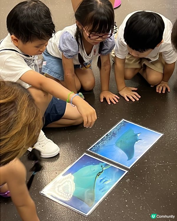 海洋公園夏日歷險，童趣探索！ 🐠☀️早鳥優惠88折！